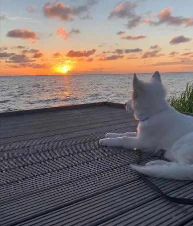 Sonnenplätzchen Direkt Am Ijsselmeer Ferienhaus *