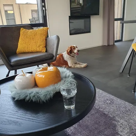 Holiday home Sonnenplaetzchen Zweite Reihe Haus Nr 229 Enkhuizen