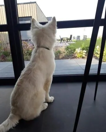 Sonnenplaetzchen Zweite Reihe Haus Nr 229 別荘